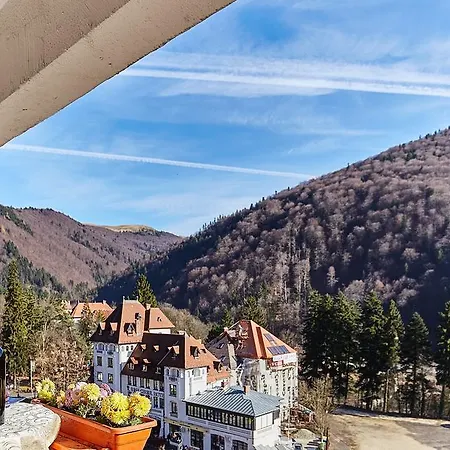 Hotel Hotel Sinaia Sinaia
